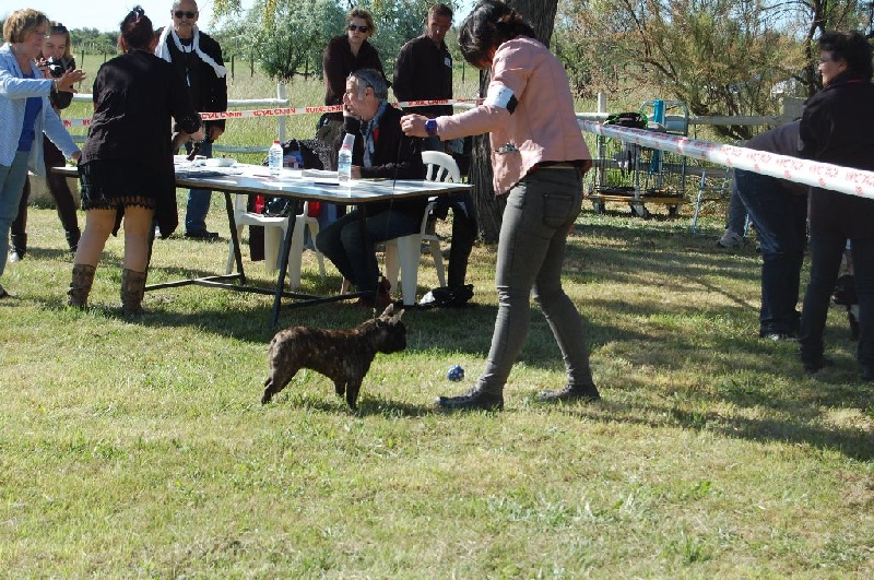 Ioko tsuno Bcbg Belle Carrure Belle Gueule - Excellent