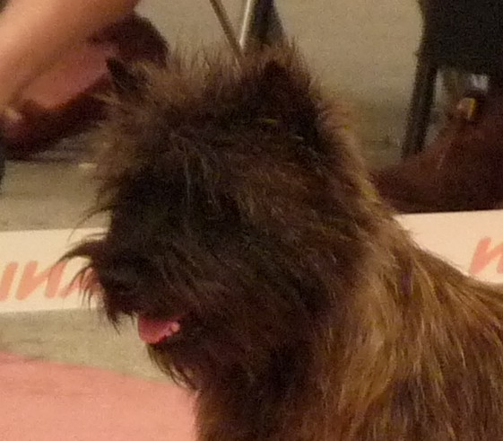 Publication : Du hameau des landes Auteur : Christine ESCAT