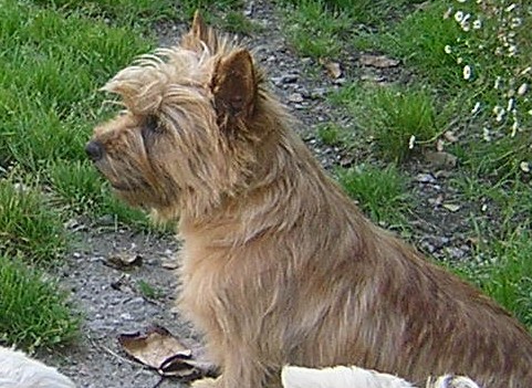 Publication : Du hameau des landes