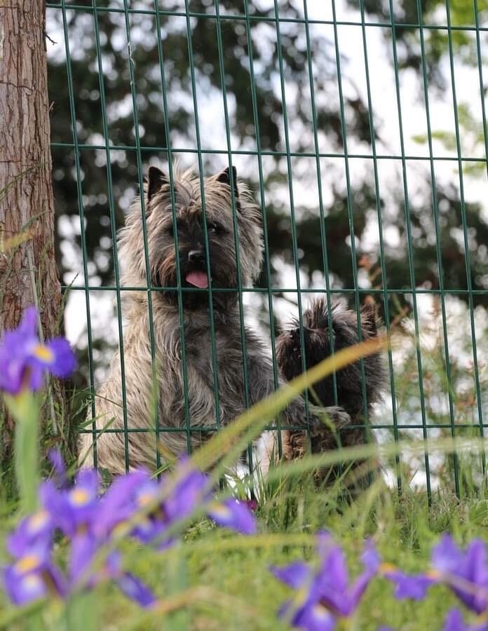 Publication : Du hameau des landes