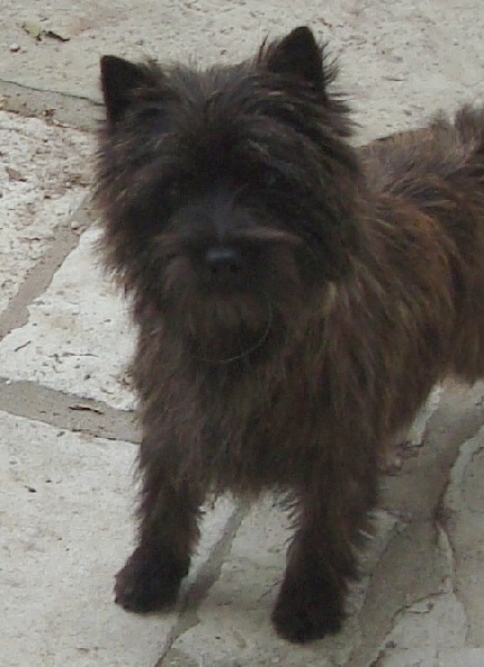 Publication : Du hameau des landes Auteur : Christine ESCAT