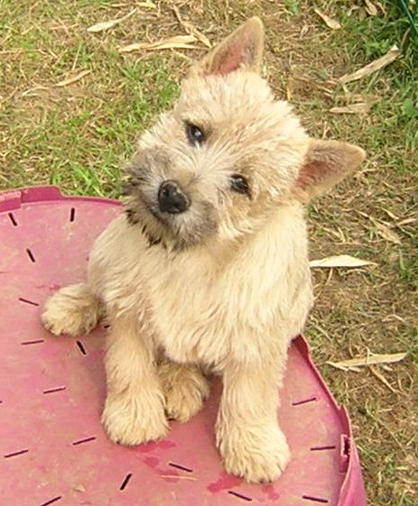 Publication : Du hameau des landes