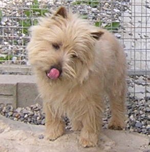 Publication : Du hameau des landes