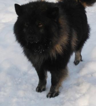 Publication : Eurasia Auteur : Eurasia