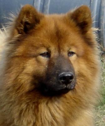 Publication : Eurasia Auteur : JParent-Eurasia