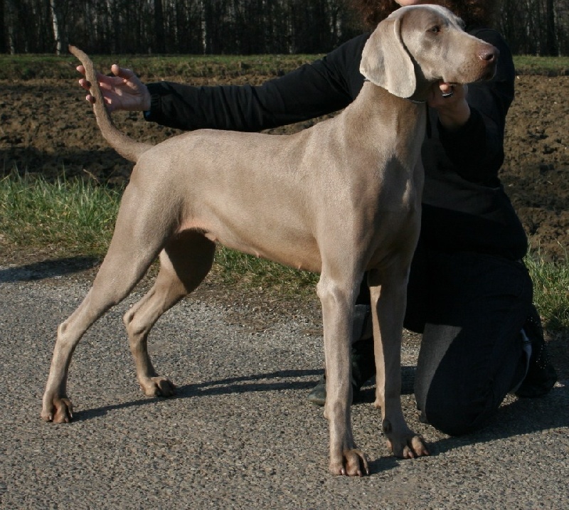 Dune des Guerriers D'Argent