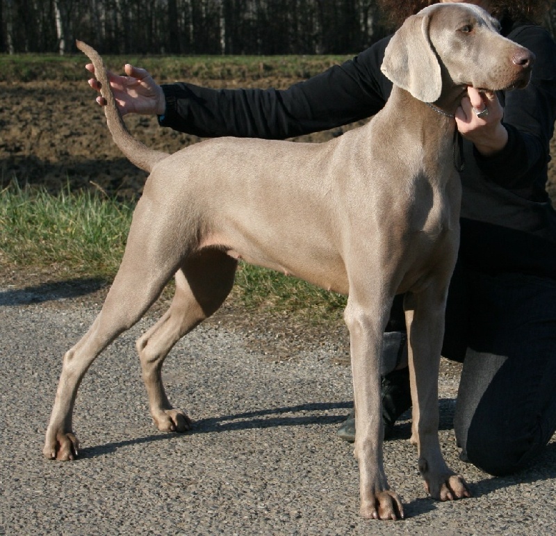 Dune des Guerriers D'Argent