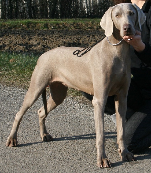 Dune des Guerriers D'Argent