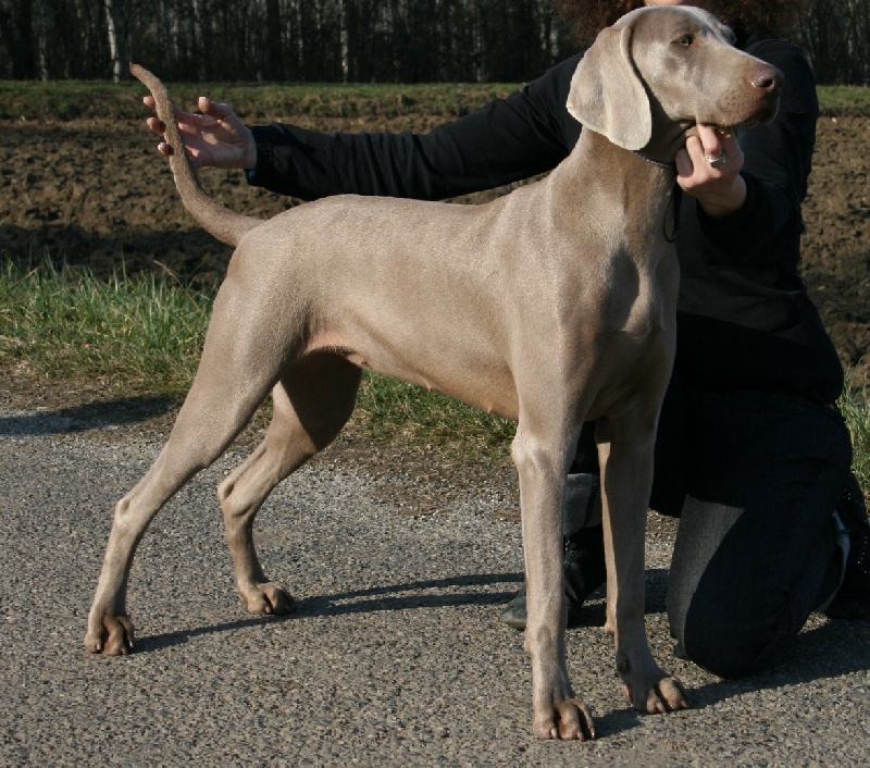 Dune des Guerriers D'Argent