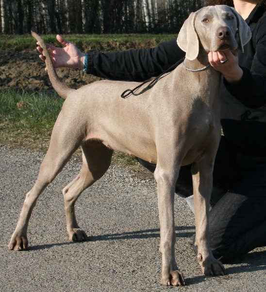 Dune des Guerriers D'Argent