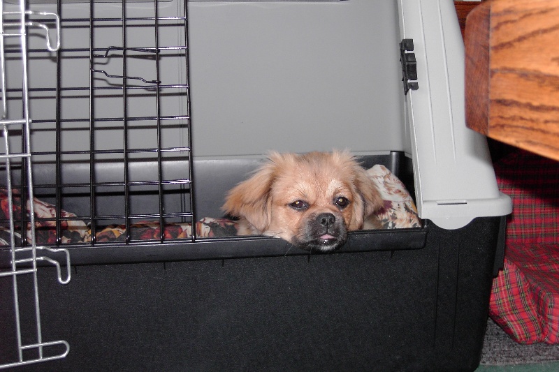 Publication : De la haute tenue Auteur : ALLUIN