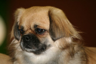 Publication : De la haute tenue Auteur : ALLUIN