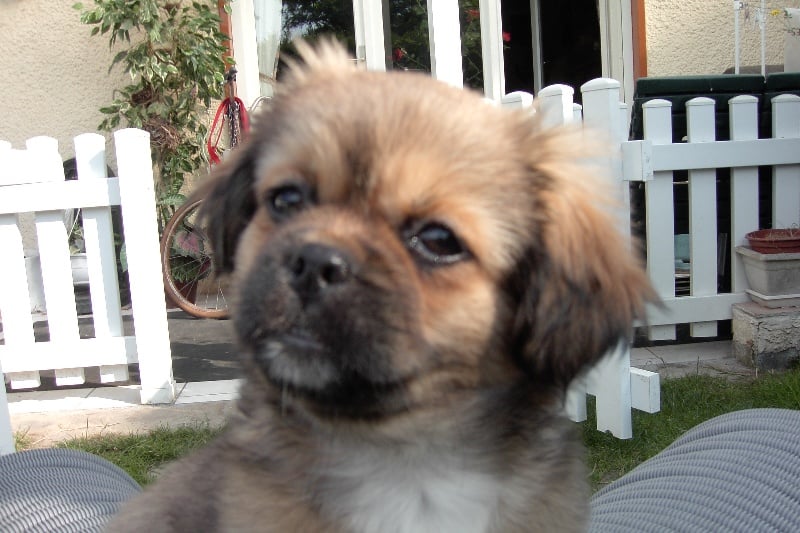 Publication : De la haute tenue Auteur : ALLUIN