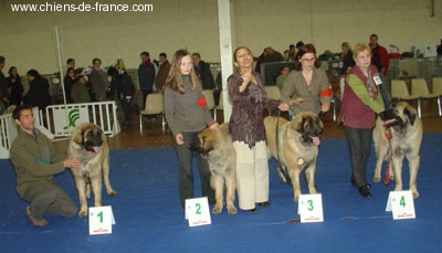 Aska De la forêt d'oxalis - 4° EXC.