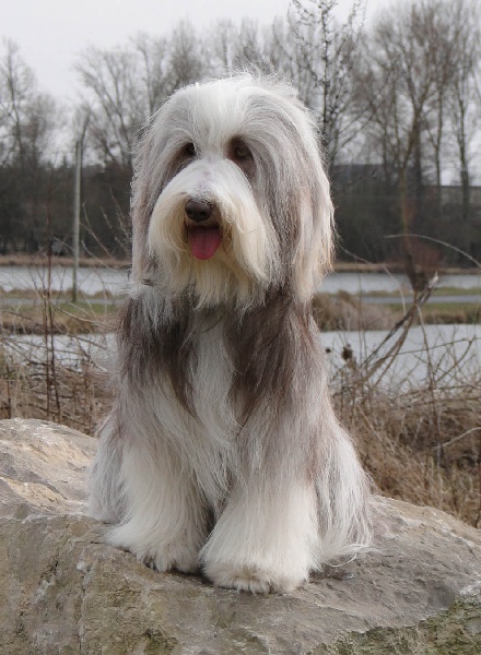 Publication : Des gardes champetres Auteur : Camus delphine