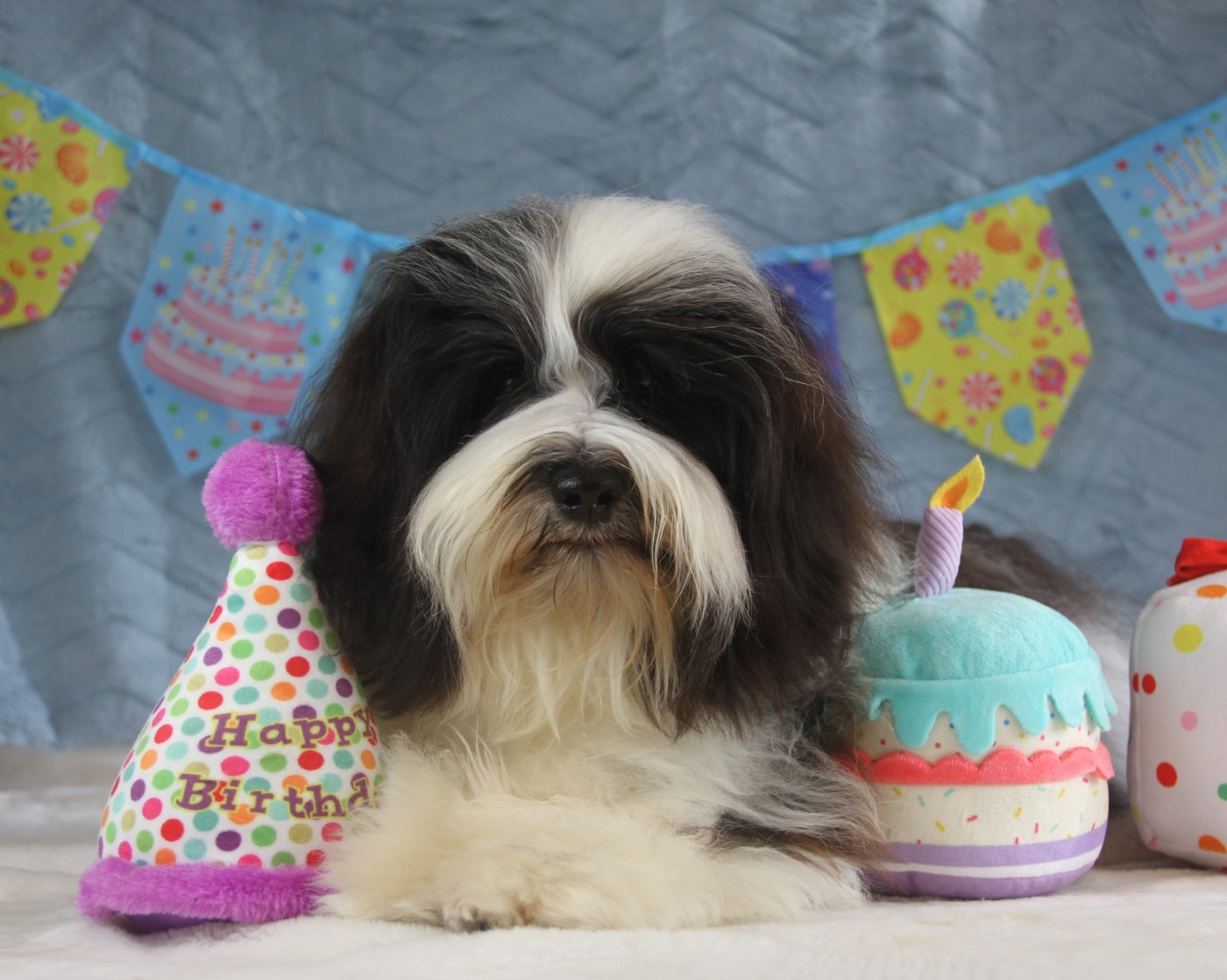 Very bad trip Del rey rakashi