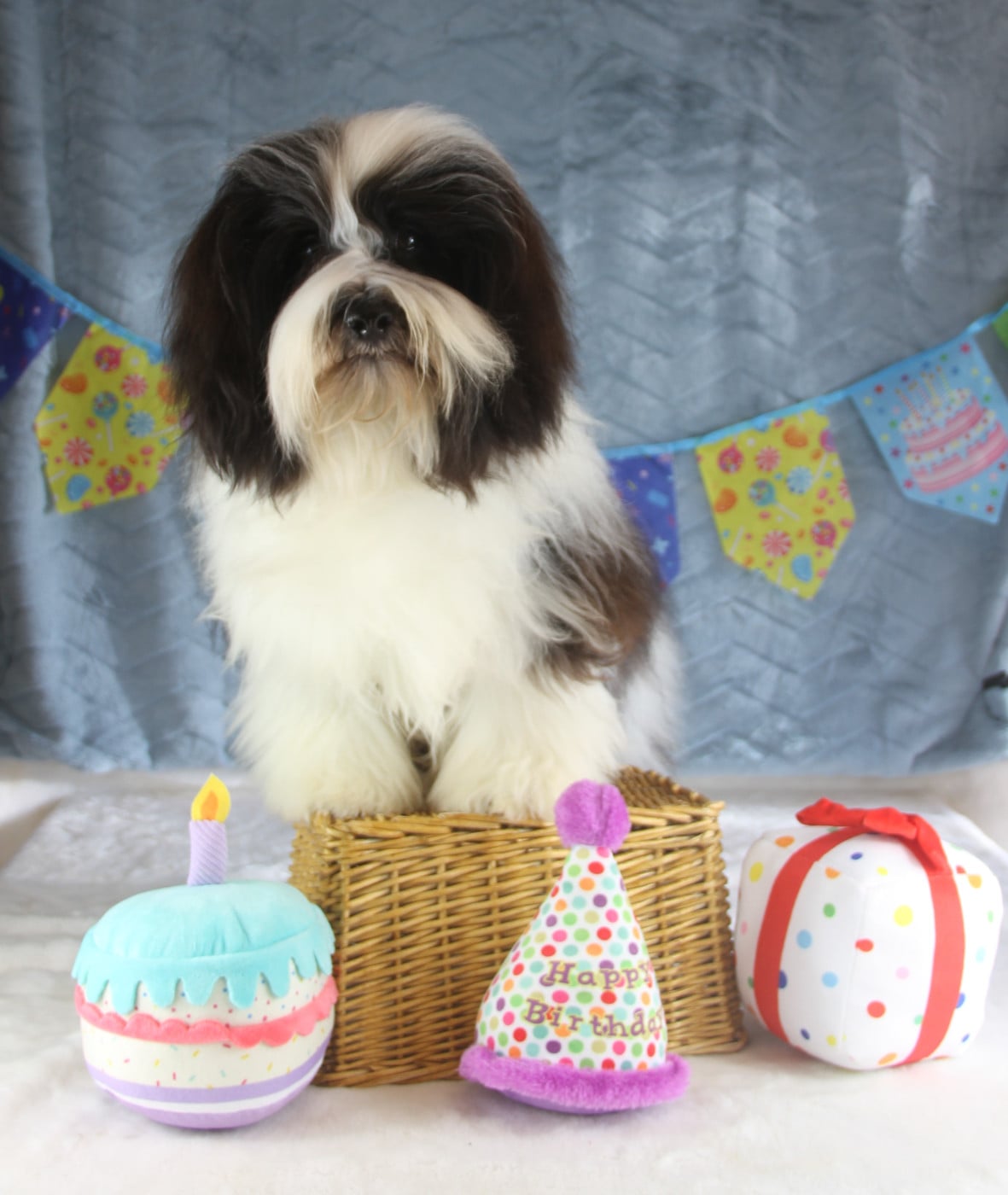 Very bad trip Del rey rakashi