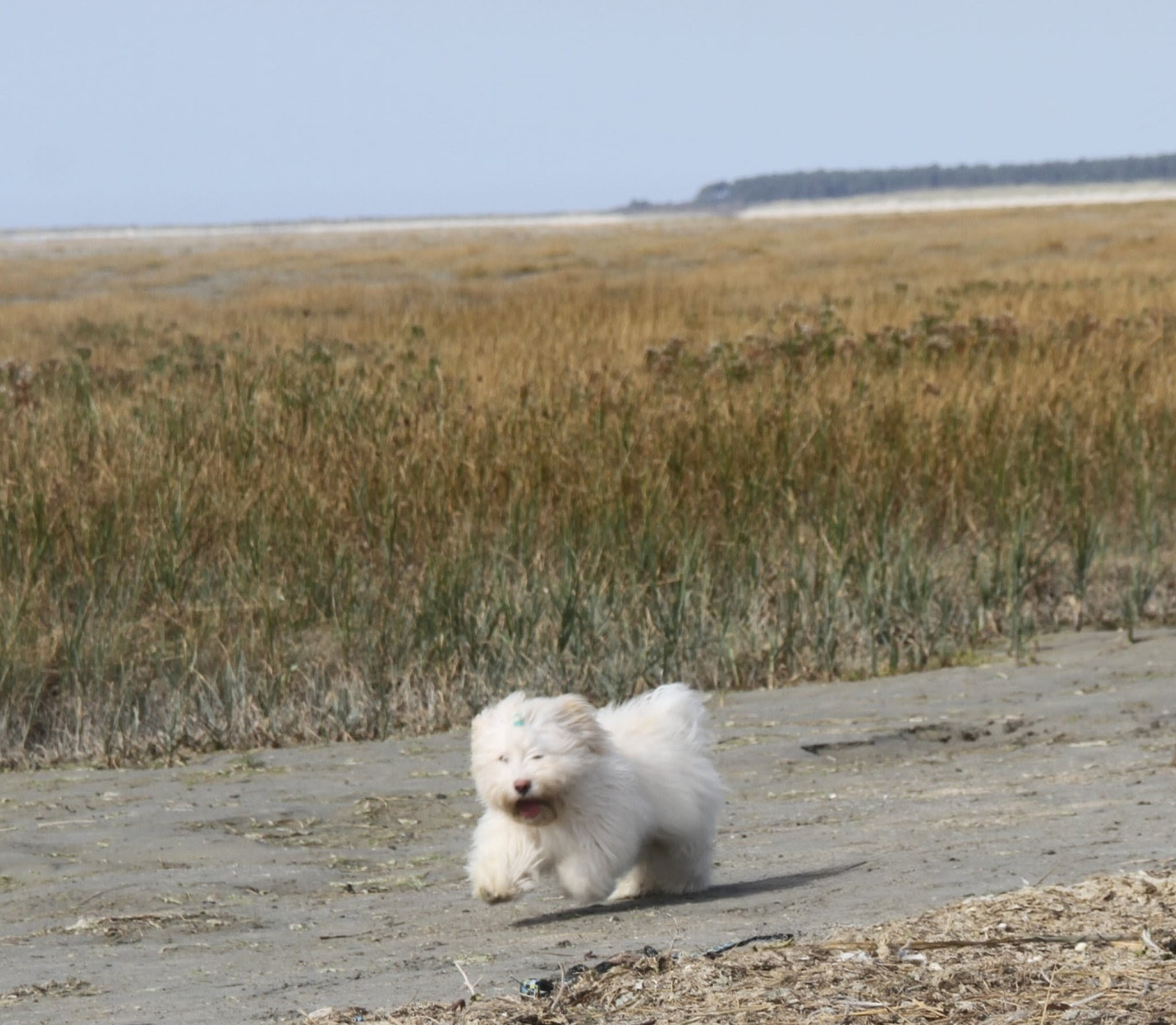 A la folie des gardes champêtre Des gardes champetres