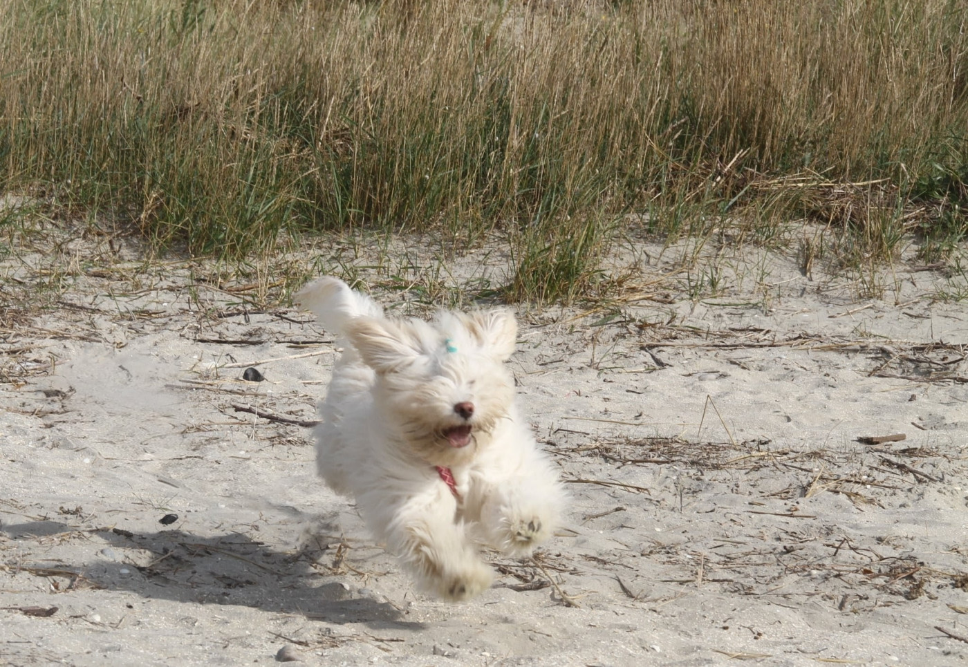 A la folie des gardes champêtre Des gardes champetres