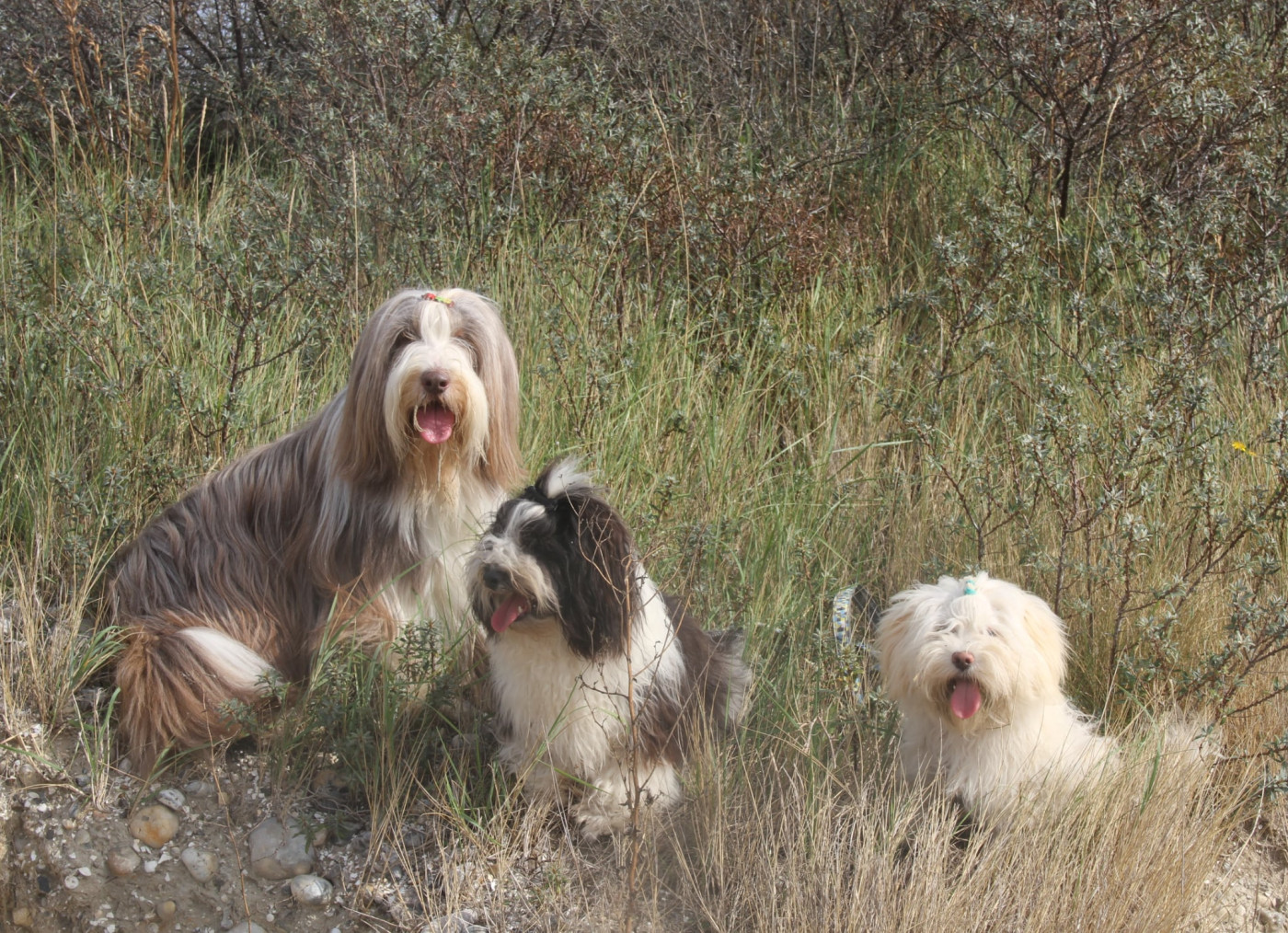 A la folie des gardes champêtre Des gardes champetres