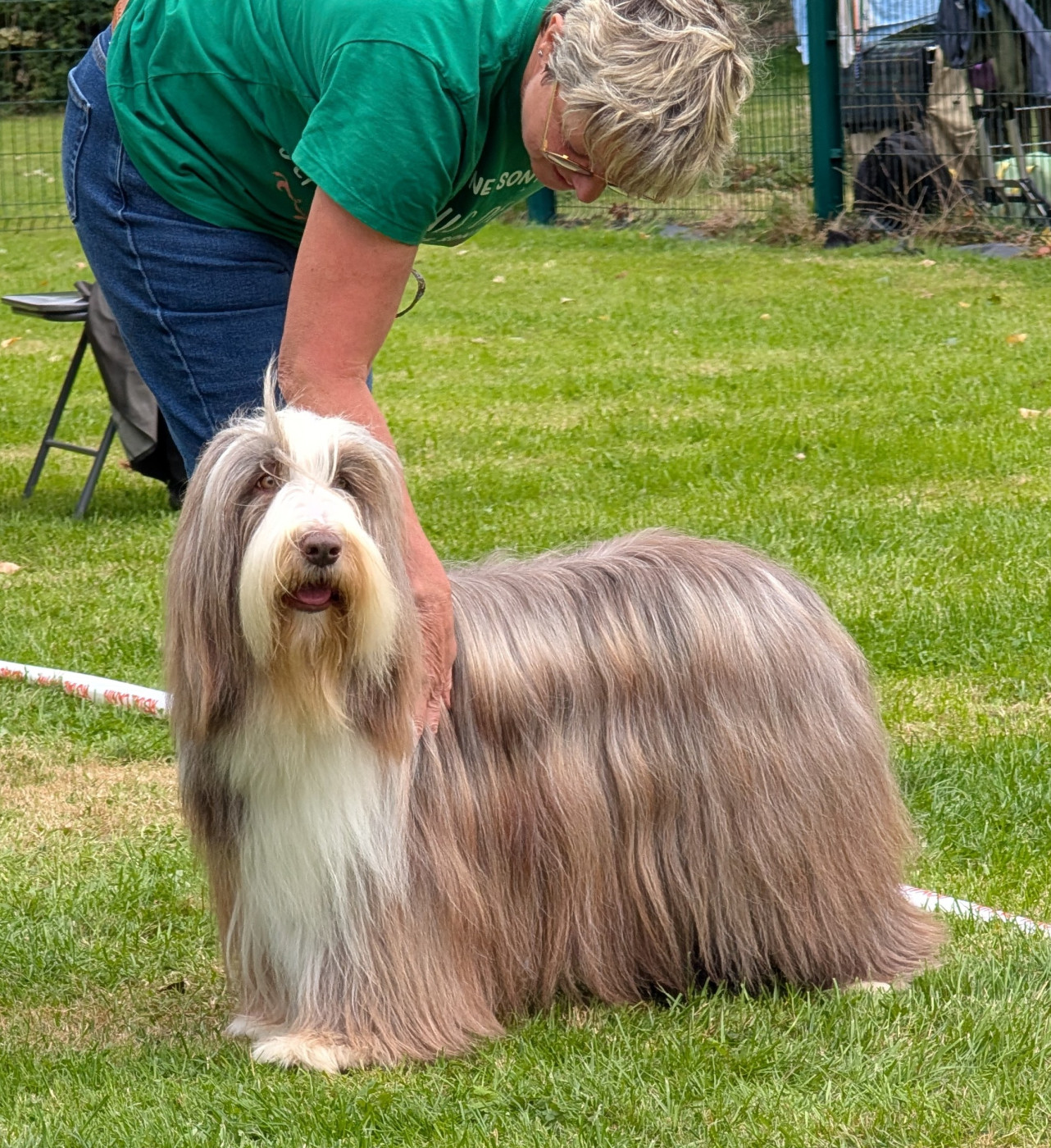 CH. All stars shine moravian furry beardie