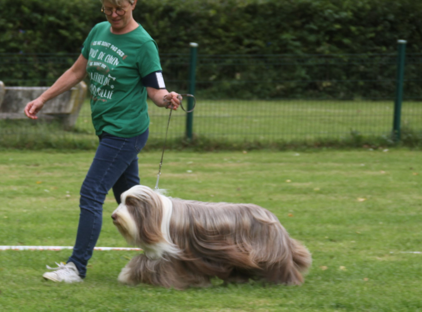 CH. All stars shine moravian furry beardie