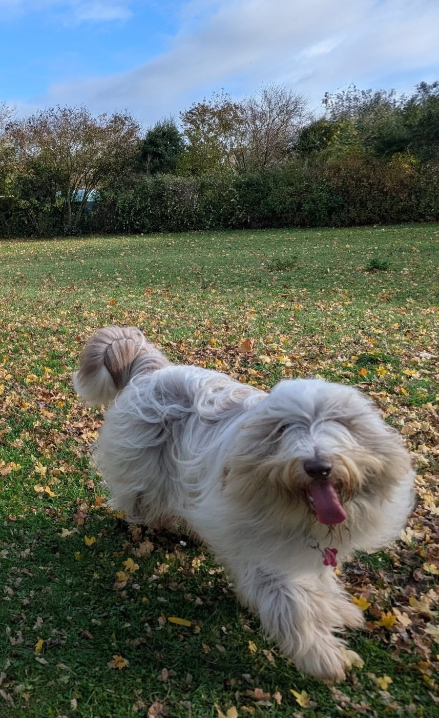 Vertige de l'amour Des gardes champetres