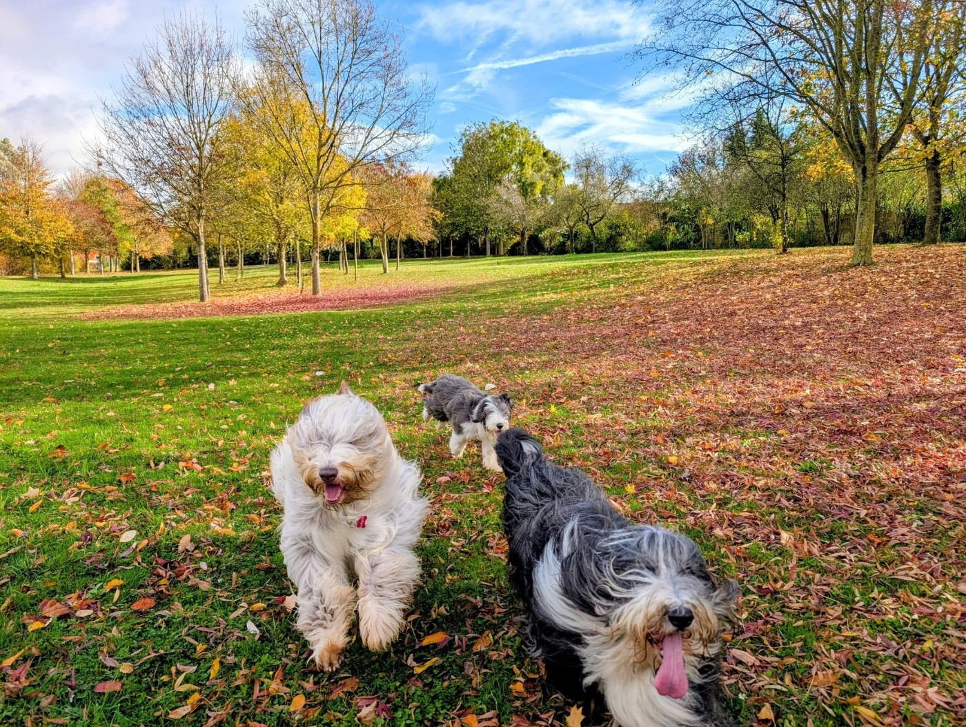 Vertige de l'amour Des gardes champetres