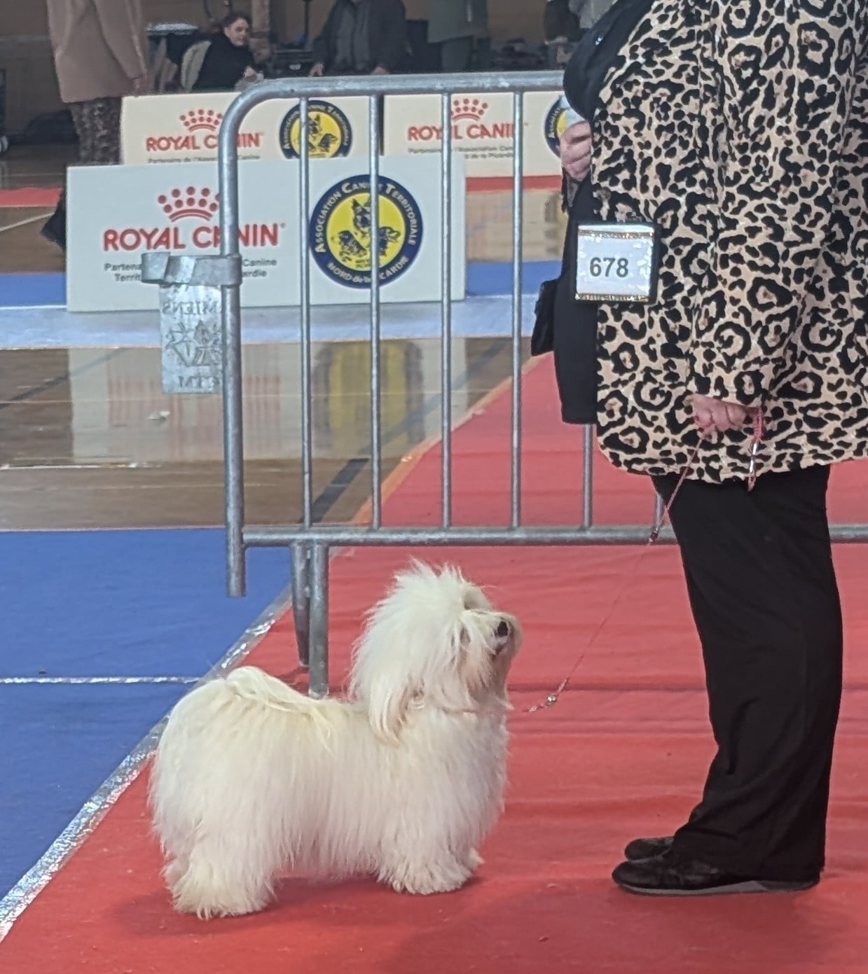 Publication : Des gardes champetres Auteur : Camus Delphine