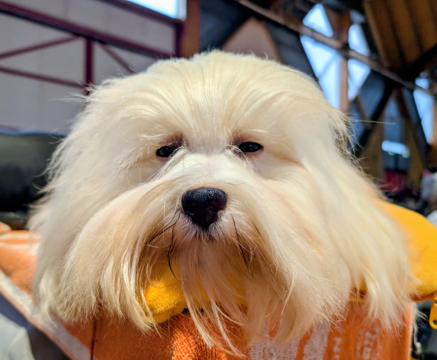 Publication : Des gardes champetres Auteur : Camus Delphine