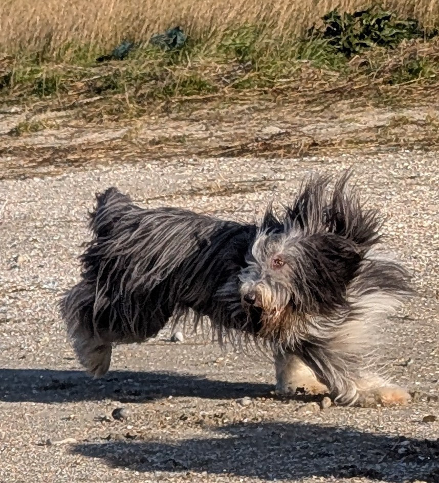 Universe star Des gardes champetres