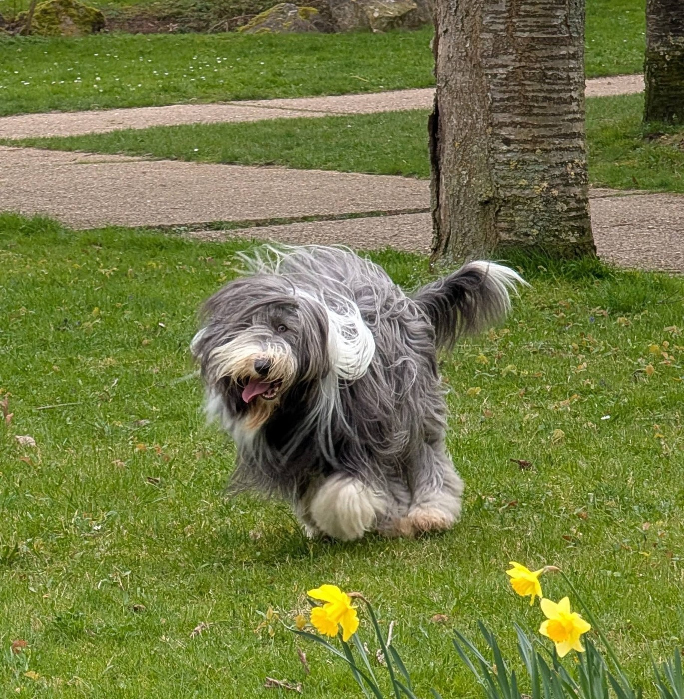 Universe star Des gardes champetres
