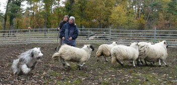 Publication : Des gardes champetres Auteur : Camus delphine