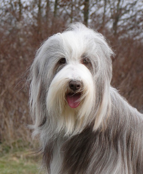 Publication : Des gardes champetres Auteur : Camus delphine