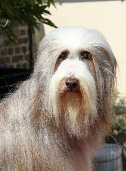 Publication : Des gardes champetres Auteur : Camus delphine