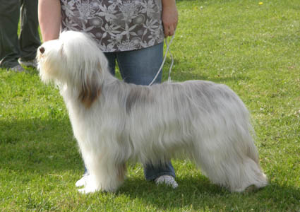 Publication : Des gardes champetres Auteur : Camus delphine