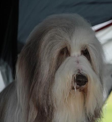 Publication : Des gardes champetres Auteur : Camus delphine