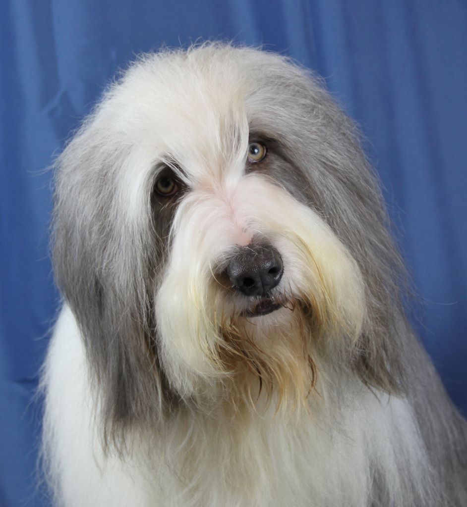 Publication : Des gardes champetres Auteur : camus delphine