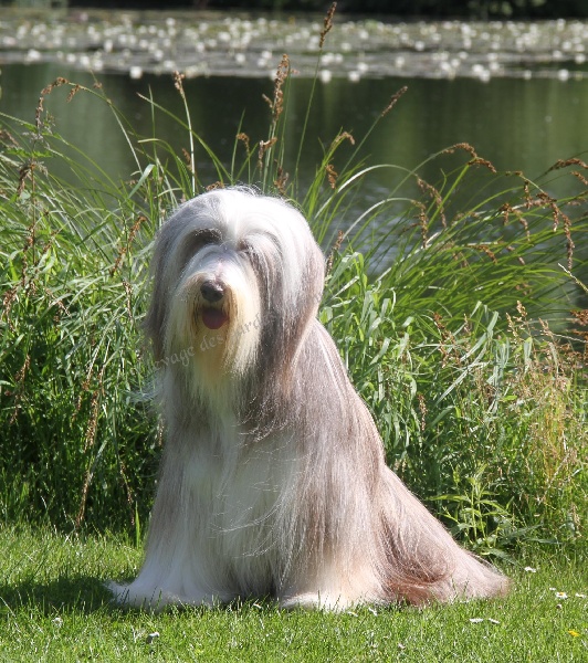 Publication : Des gardes champetres Auteur : Camus delphine