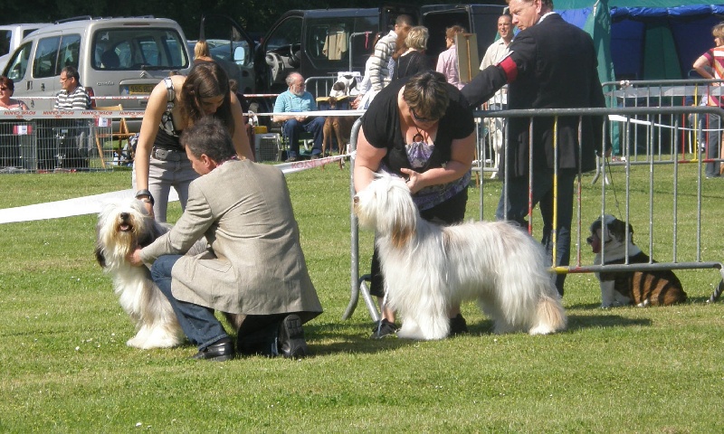 Diam's Des gardes champetres - 1 EX ET MEILLEURE JEUNE