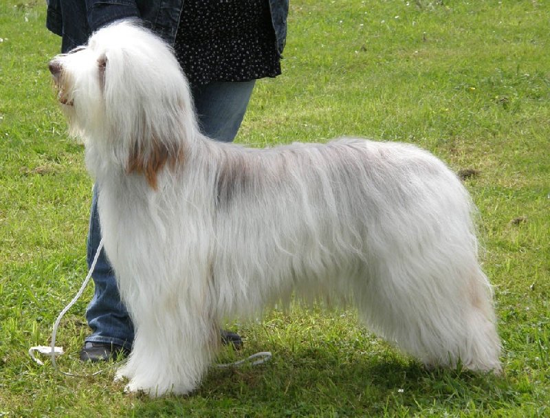 Diam's Des gardes champetres - 3eme ex calsse jeune