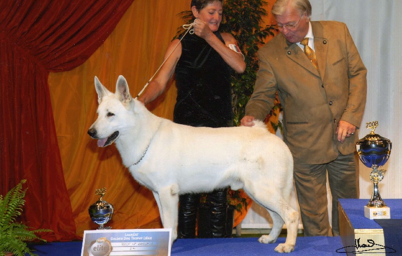 Publication : du domaine de pegase Auteur : evelynr