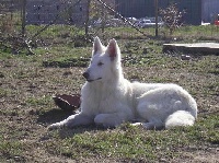 Publication : du domaine de pegase Auteur : evelyne