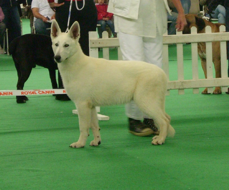 Publication : du domaine de pegase Auteur : evelyne