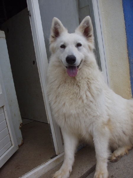 Publication : du domaine de pegase Auteur : evelyne feeling