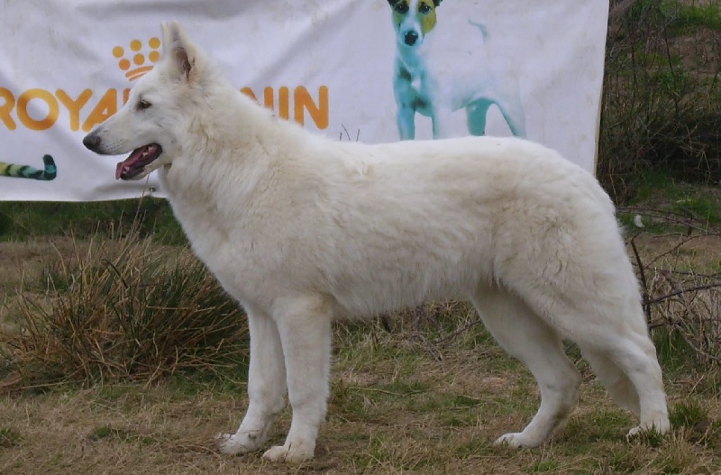 Publication : du domaine de pegase Auteur : evelyne