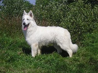 Publication : du domaine de pegase Auteur : evelyne