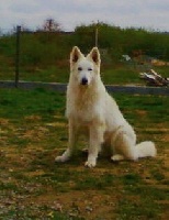 Publication : du domaine de pegase Auteur : evelyne