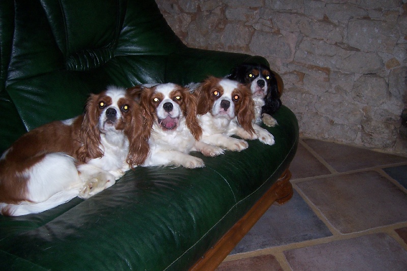 Publication : Des fripouilles du moulin