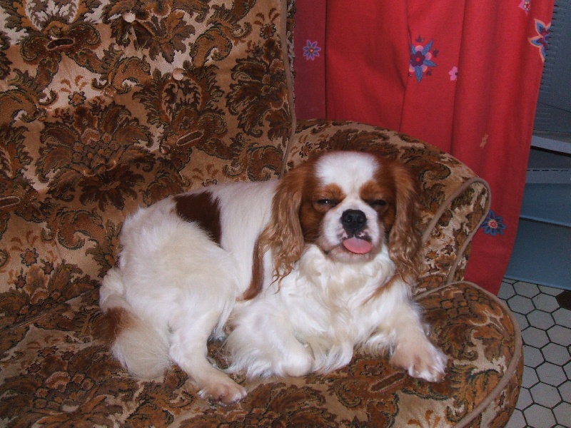 Publication : Des fripouilles du moulin